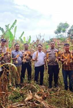 berita-rekomendasi-foto
